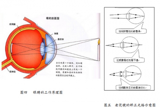 美麗島眼鏡：老花鏡不可隨意亂帶，需要在專業(yè)驗光后科學(xué)配制