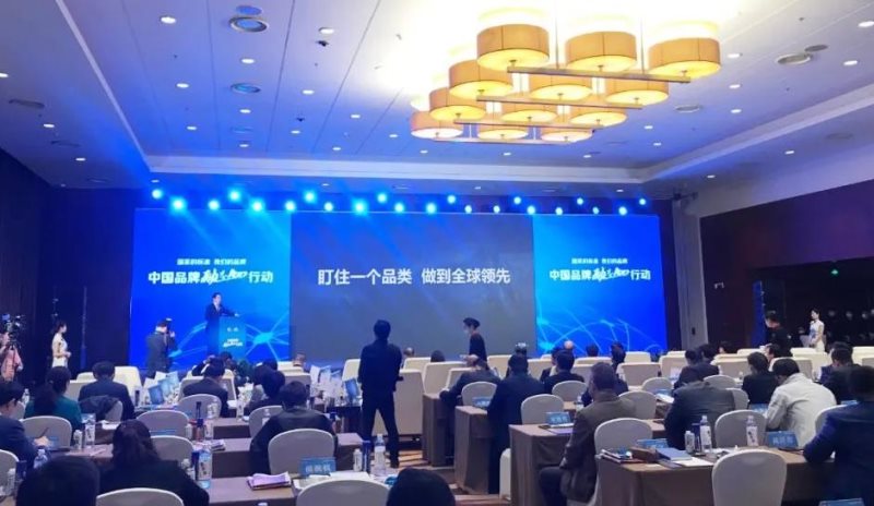 定了！美麗島進了國家隊，新華社專訪